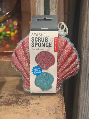 Seashell Scrub Sponge