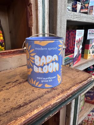 Bada Bloom Mini Sunflower Kit