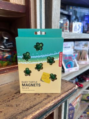 Baby Turtle Magnets